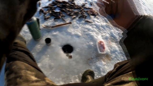 Какой же щедрый первый лёд! 262 штуки с одной лунки, за 3 часа!!! смотреть онлайн