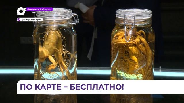 Проект «Пушкинская карта» успешно реализуется в Приморье смотреть онлайн