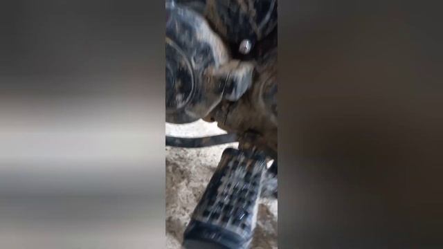 Racer Tourist 200 ответы на вопросы,1 часть.