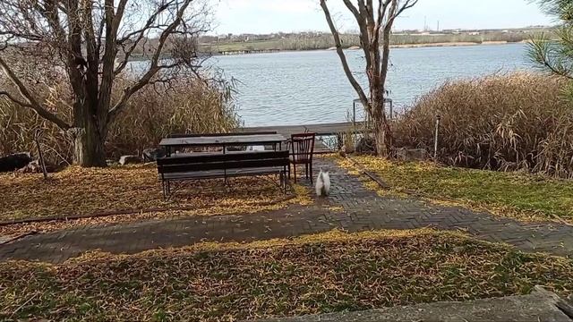 КЛЁВОЕ МЕСТО! Барабой. Перезагрузка. смотреть онлайн