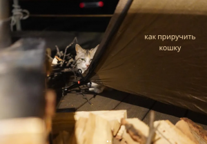 Кемпинг в одиночестве на острове, который открыт только два раза в день.mp4