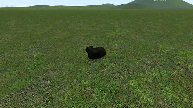 catspin.jpg смотреть онлайн