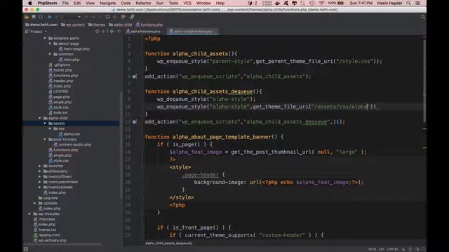 WordPress Theme Development Course 2022 - Class 81 - Online Course смотреть онлайн