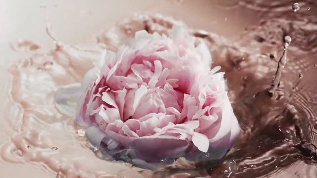 ARMANI ⁄ PRIVÉ - PIVOINE SUZHOU by Giorgio Armani смотреть онлайн