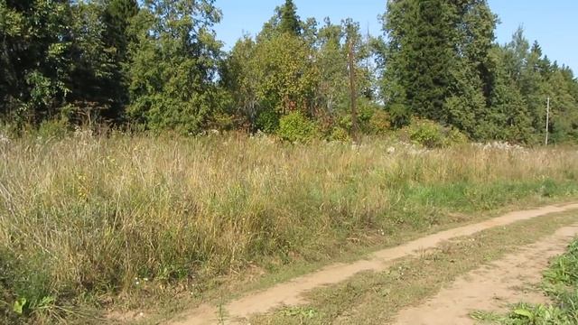 400 кг за два часа с "фартового" колхоза смотреть онлайн