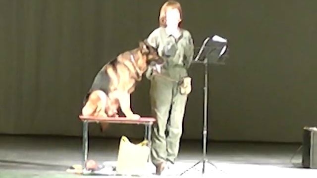 Умную собаку нужно воспитать!