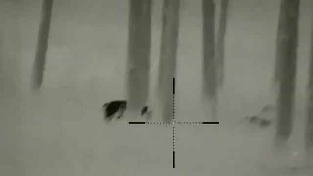 Hog double with the Iray Rico смотреть онлайн