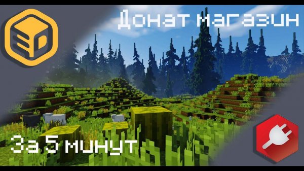 ДОНАТ МАГАЗИН НА СЕРВЕРЕ МАЙНКРАФТ ЗА 5 МИНУТ | EASYDONATE