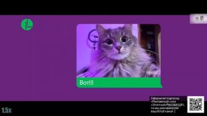 Мегафон — «Высокоскоростной интернет PRE-5G» в 8х быстрее | PRO Рекламу