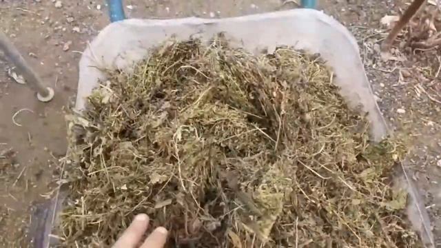 Сенорезка ручная.Простой и надёжный способ резки травы-сена,клевера. смотреть онлайн