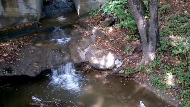 ЗА ВОДОЙ ОТВЕЧУ НА ВОПРОС МАГАЗИН С ПОКУПКAМИ ГРЕЦИЯ смотреть онлайн