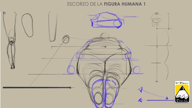 ESCORZO DE LA FIGURA HUMANA 1_El dibujo de los sábados смотреть онлайн