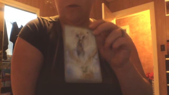 REDO OF SHADOWSCAPE TAROT смотреть онлайн