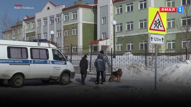 Школы Ноябрьска заминировали смотреть онлайн