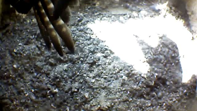 From Internet Camera(Turmfalken[03:1A:A5])2014/07/14,17:40:33_D смотреть онлайн