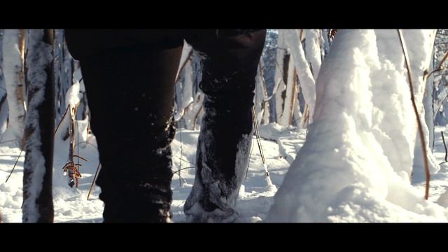 ФОТОРЮКЗАК ДЛЯ ЛЮБОЙ КАМЕРЫ | Camera Bag Lowepro ProTactic 450AW