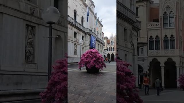 Короновирус в Италии падуя 27.04.2020слежка, приложение в телефоне, смотреть онлайн