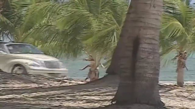 Немцы назвали самые ненадежные машины с пробегом смотреть онлайн