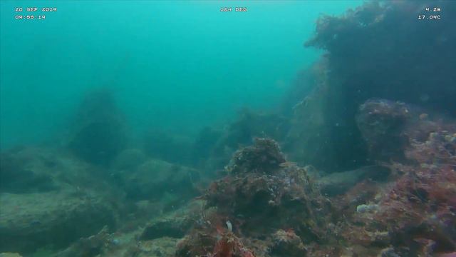 Wicklow below the waves - World Oceans Day 2022 смотреть онлайн