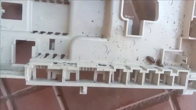 Тараканы в стиральной машине!!! смотреть онлайн