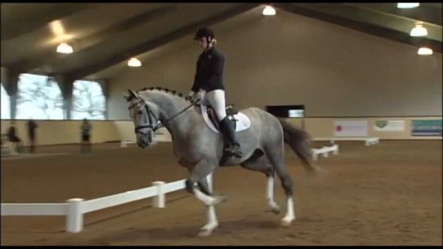 Silver Creek's Vindication смотреть онлайн