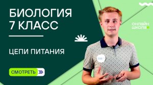 Цепи питания. Видеоурок 38. Биология 7 класс