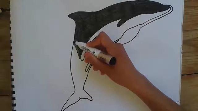 how to draw delfin tattoo...طريقة رسم دلفين ...draw delfin смотреть онлайн