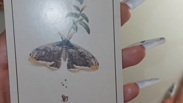 Оракул Сад гекаты ? 1 ЧАСТЬ | СТИХИЯ ЗЕМЛИ | учимся личному видению карт | ПРАКТИКА #валериясилатар смотреть онлайн