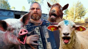 СЕКТОР ГАЗА - ОЙ, ТЫ, ТРАВУШКА ЗЕЛЁНАЯ/Разбор на баяне. "Ой, вы, Брянские лесочки, вы зелёные леса"