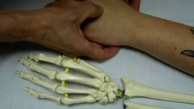 9. Capitatum смотреть онлайн