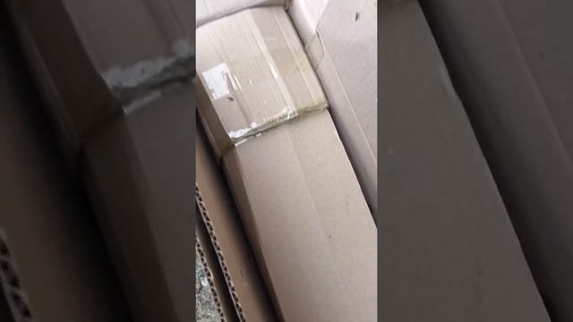 Агромаркет отзыв (відгук) можжевельник на штамбе,средства для обработки. смотреть онлайн