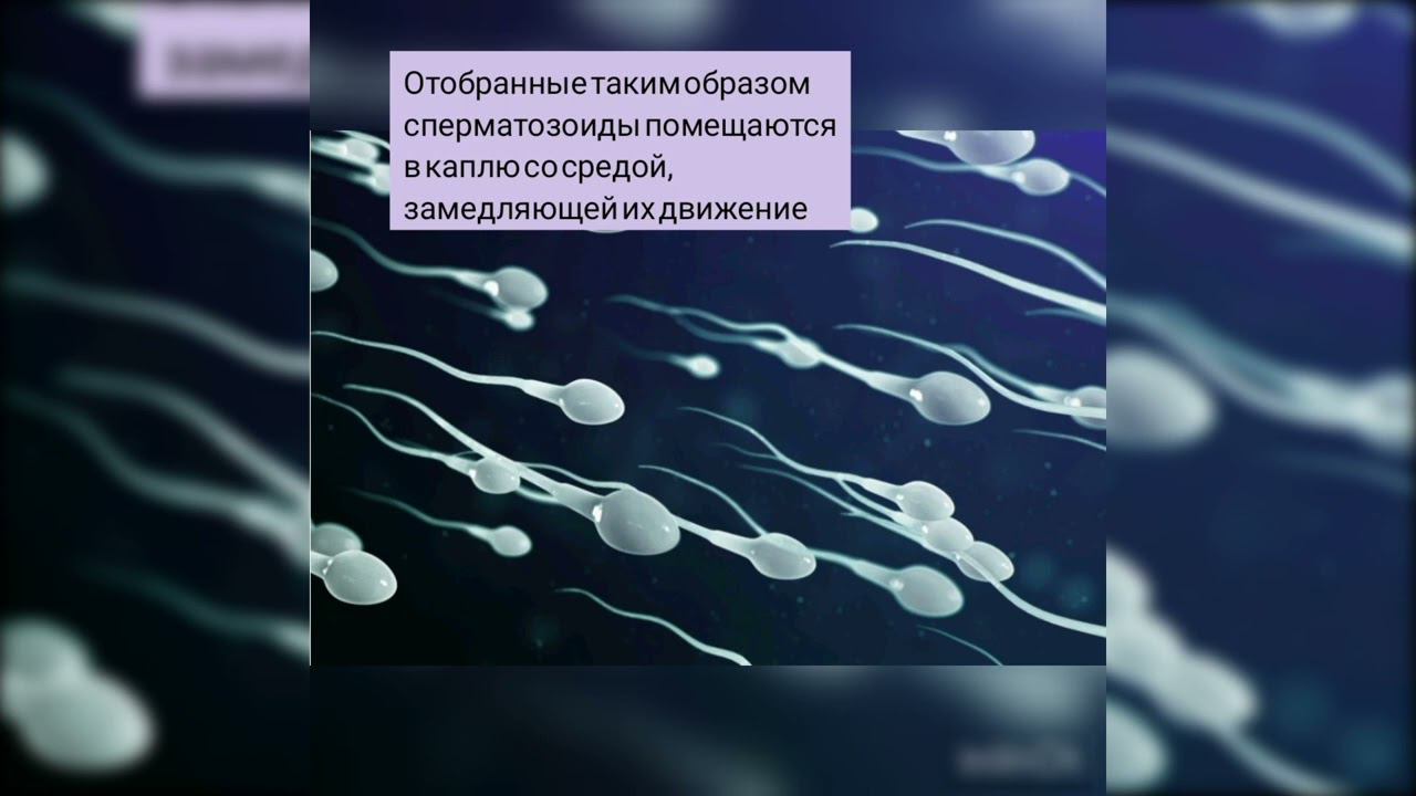 ПИКСИ смотреть онлайн