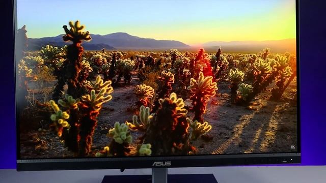 Asus ProArt 278CV Professional Monitor Review смотреть онлайн