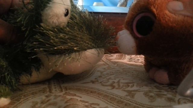 YES I AM As Cute As YOU!