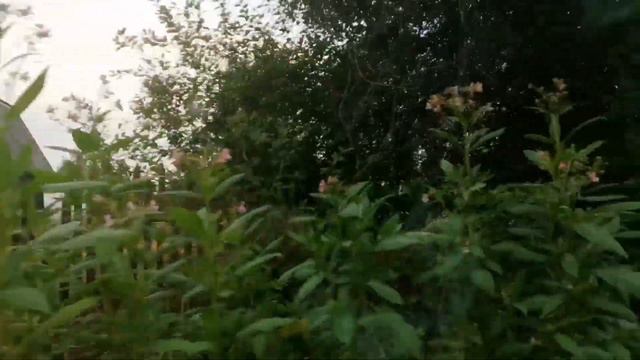 Всё тот же день На даче, Комсомольск-на-Амуре смотреть онлайн