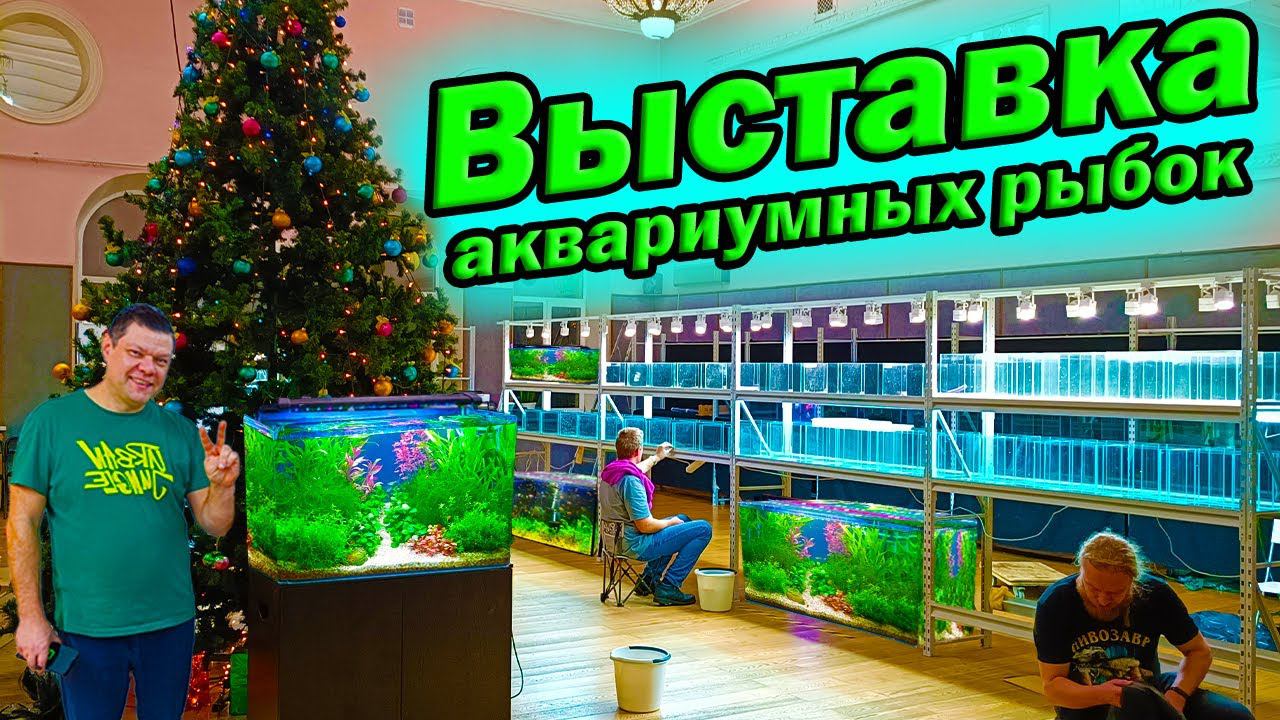 Выставка аквариумных рыбок 2023 Торопитесь! Скоро открытие! смотреть онлайн