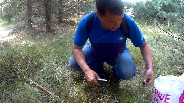 Учим Делать с Преданностью