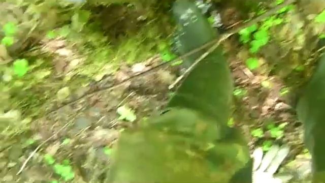 Сезон 2019 года. Часть 2я смотреть онлайн