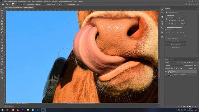 Как УБРАТЬ ФОН в Фотошопе | Как вырезать объект в ФОТОШОПЕ смотреть онлайн