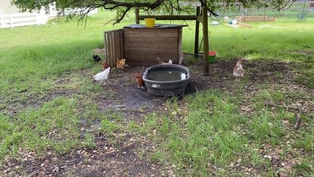 Farm Bound - Diggin Britt and Friends смотреть онлайн