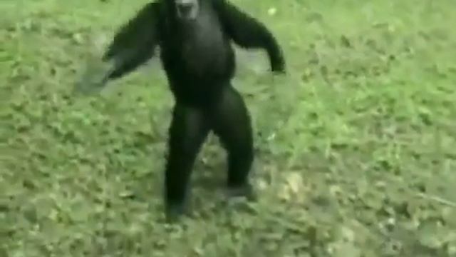 Подари мне платок смотреть онлайн