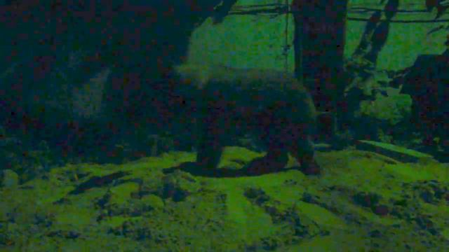 Сенька гуляет ночью смотреть онлайн