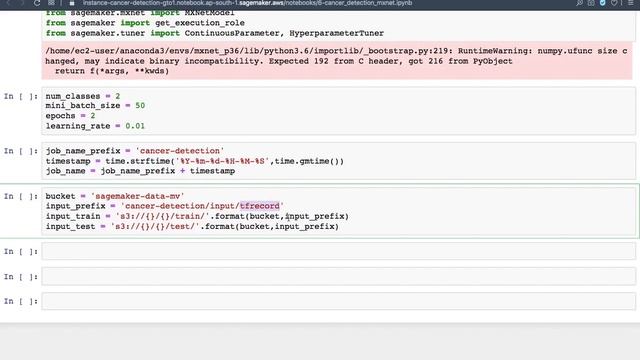 Amazon Sagemaker 24 : Modelling using MxNET Script @manralai смотреть онлайн