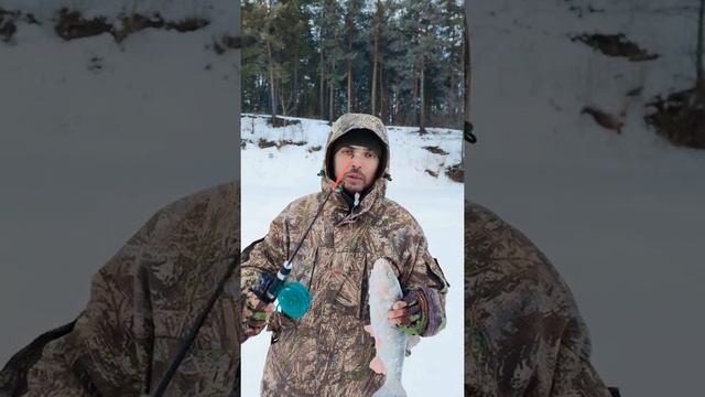 ГОЛАВЛЬ НА БАЛАНСИР! смотреть онлайн