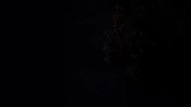 быть поэтом очень больно смотреть онлайн