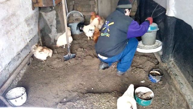 Быстро Подсушивание подстилки смотреть онлайн