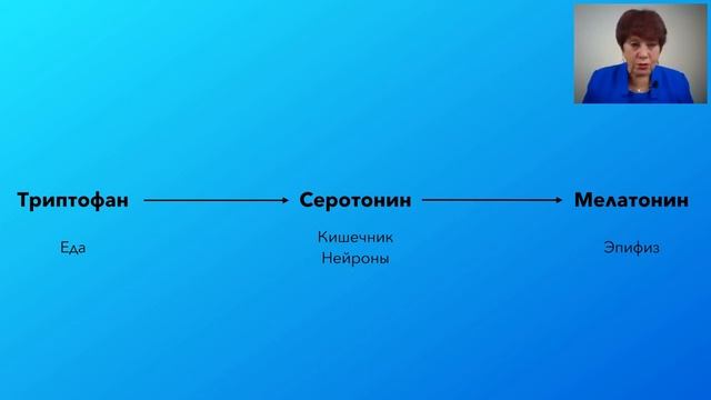 Его величество сон , циркадные ритмы смотреть онлайн