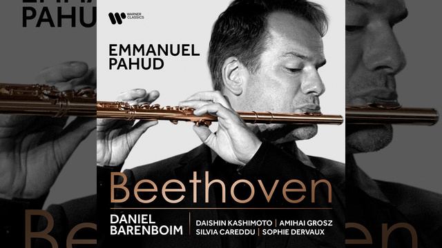 Trio for Piano, Flute and Bassoon, WoO 37: II. Adagio смотреть онлайн