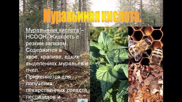 Карбоновые кислоты смотреть онлайн