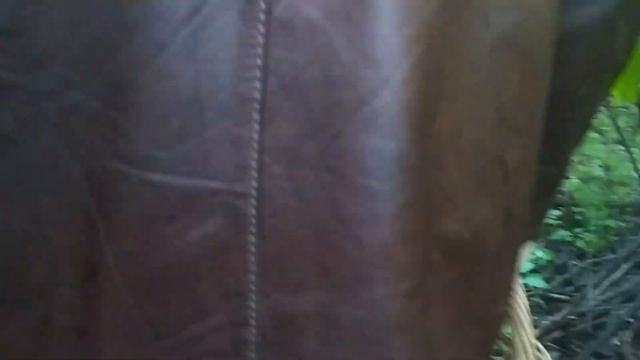 КАК Я ВАС ЛЮБЛЮ...ГРИБОЧКИ МОИ!!!! смотреть онлайн